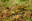Herbaroof-website-5